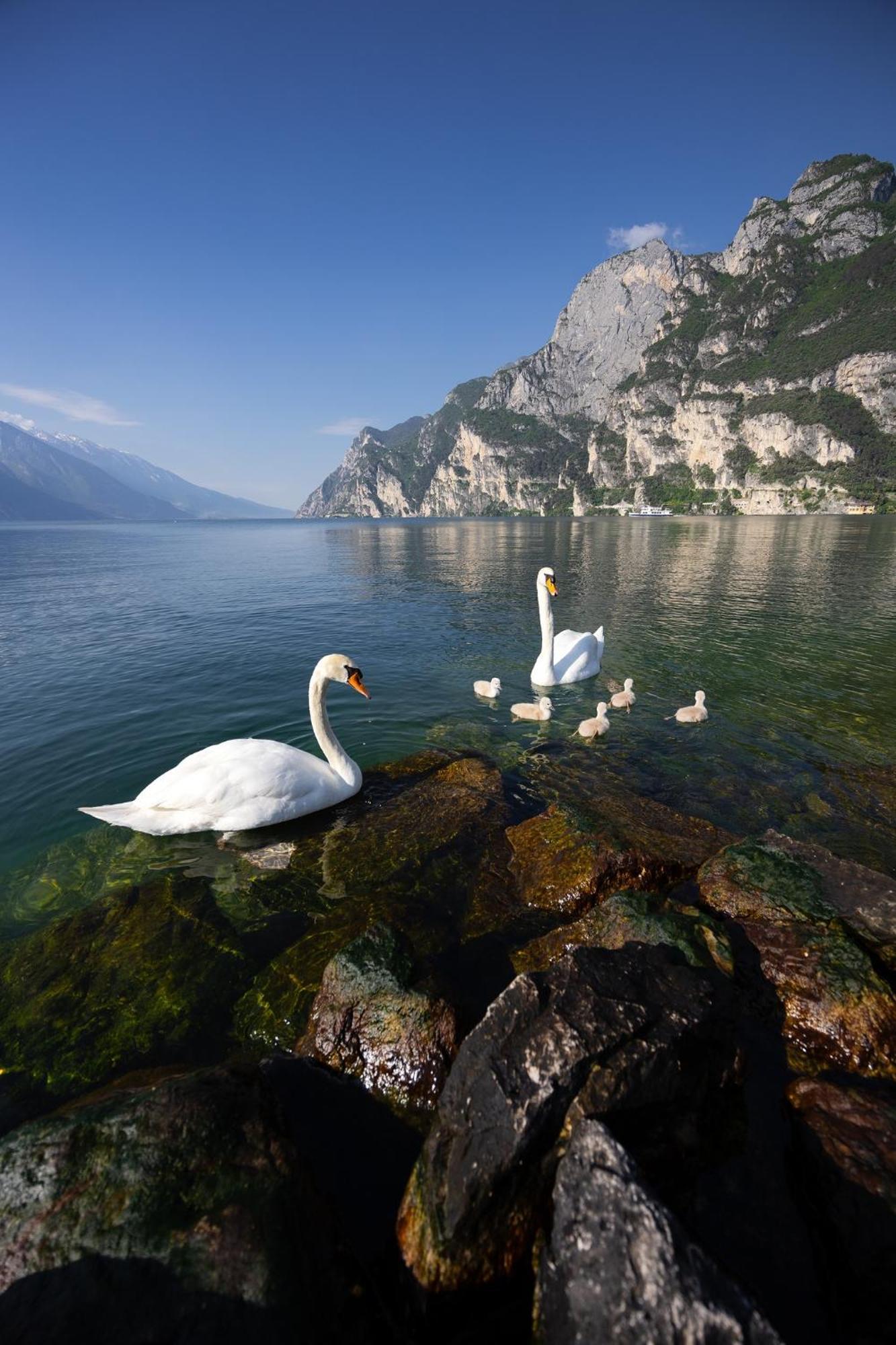 Appartamento Laura Riva del Garda Exterior photo